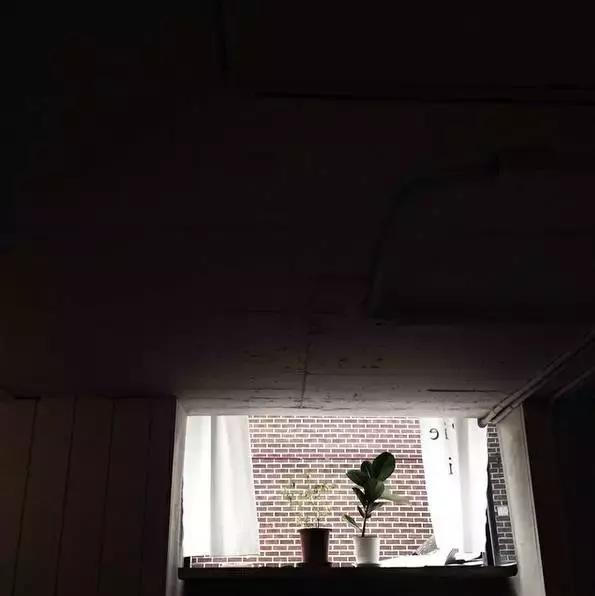 别就知道买买买20个不超50块却让你幸福感飙升的玩意儿