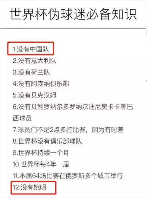 2018世界杯十大伪球迷,2022世界杯伪球迷必看