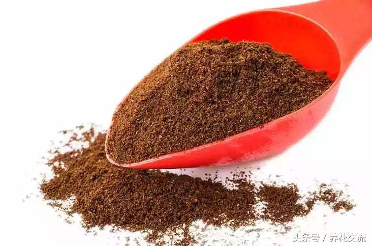 自制植物肥料制作方法,自制多肉植物的肥料