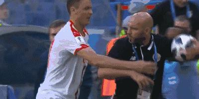 世界杯塞尔维亚内讧的原因,世界杯塞尔维亚老将