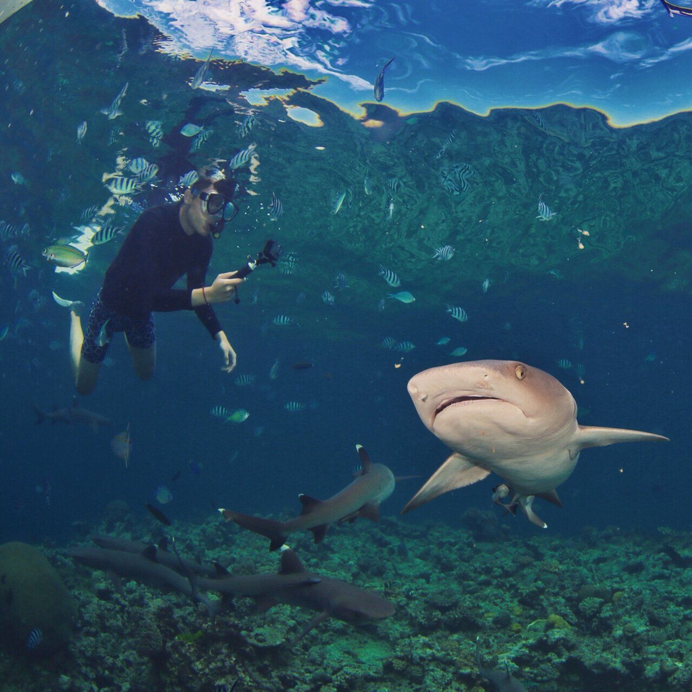 在斐济生活,斐济生活的真实感受