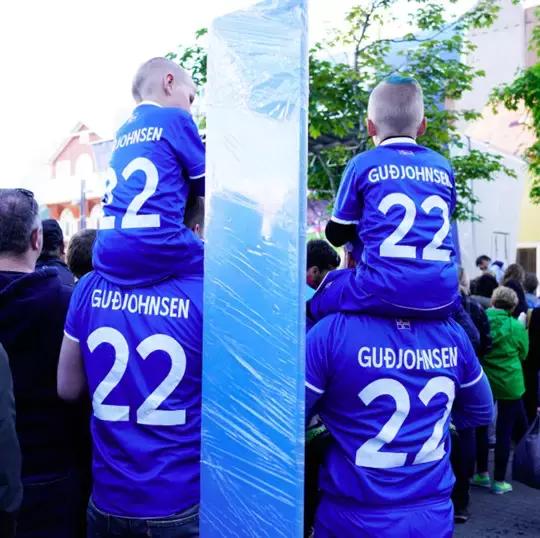 2018年冰岛足球队成绩,冰岛队历届世界杯排名