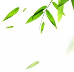 栀子花开李乃东经典散文,李乃东散文全文