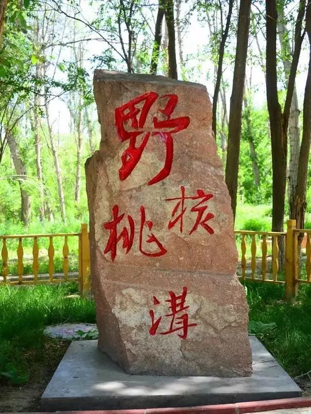 新疆哈密风景最美的地方,新疆哈密值得去的景点排名第一