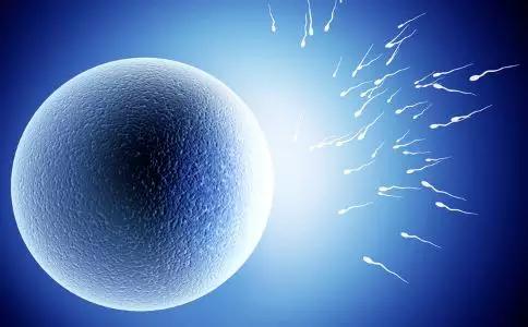 备孕一年没怀夫妻需要做什么,备孕半年了没怀上该做什么检查