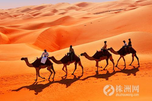 世界上最不缺水沙漠,世界最干的沙漠出现湖泊