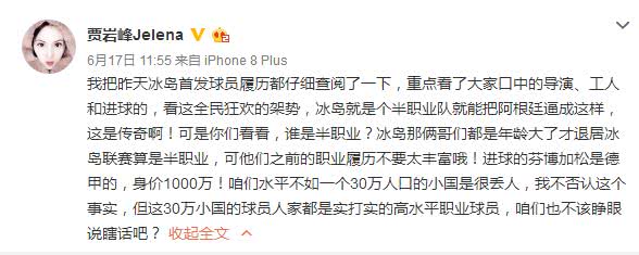 冰岛队成员,冰岛国家队真是兼职的吗