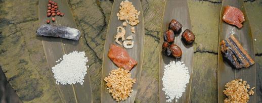 粽子推荐有肉粽和甜粽,豆沙粽是哪个省区的特色粽