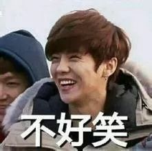 lv定制款狗狗包,lv上画熊猫的包