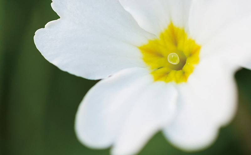 怎么获得准确的白平衡,理解白平衡的含义