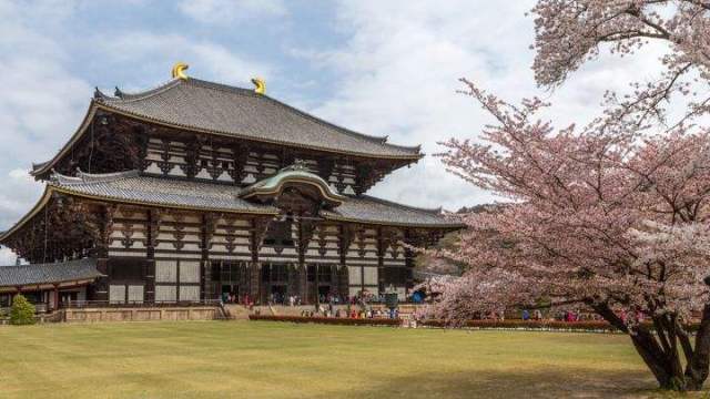 濡備綍棰勫畾鏃ユ湰瀵哄簷浣忓,鏃ユ湰瀵哄簷浣忓鏀荤暐