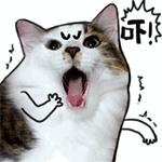 泉州一级达标中学名单,2023年泉州一级达标高中名单