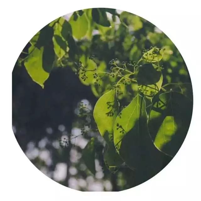 秀洲区新建医院,秀洲区最大医院