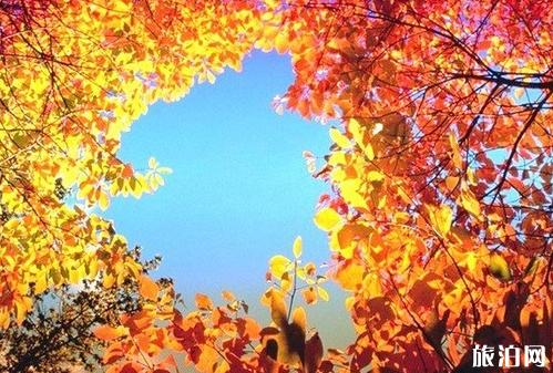 泰安济南附近旅游景点推荐一日游,济南十大旅游景点