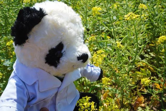 在中医诊所要做什么,在北中医读研的体验