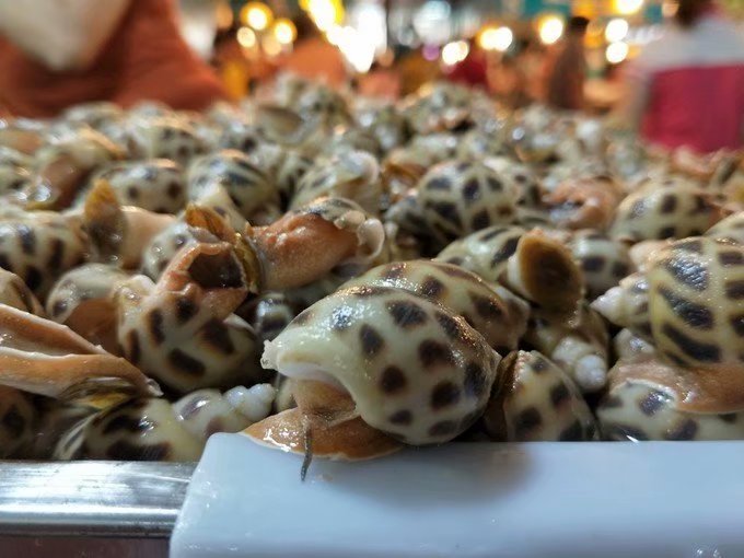 我们的爱在三亚那片海上升温升华