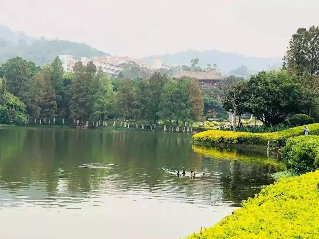 南宁出发动车可以直达的省份,南宁开通动车直通厦门