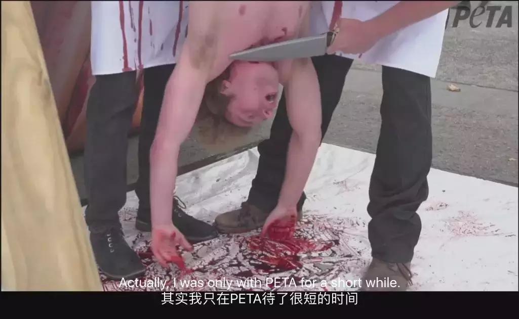 人类未来都不用吃肉吗,素食主义会取代肉食吗