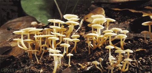 甘谷话方言,甘谷方言说甘谷