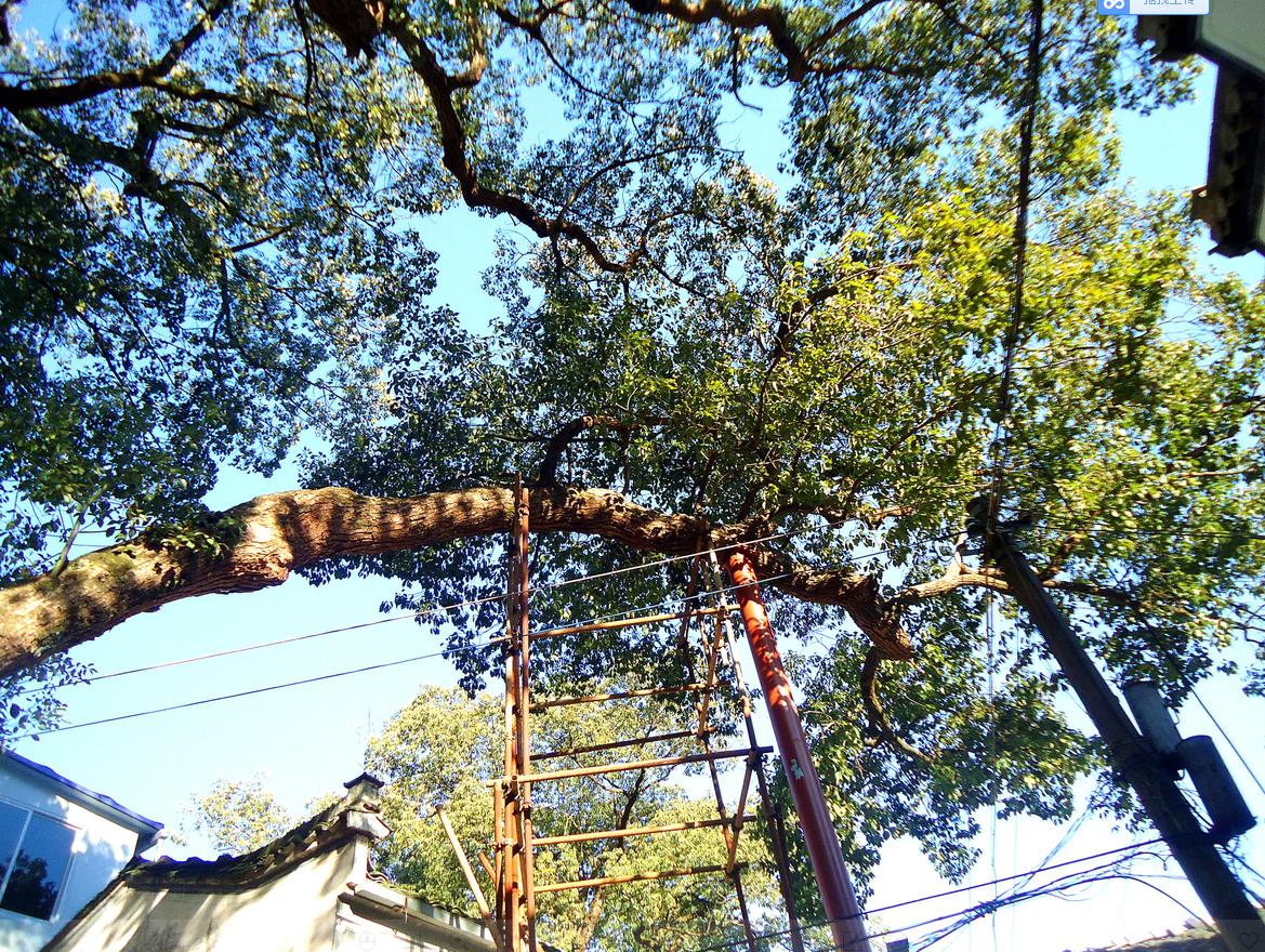 新安江畔的这个古镇，一处隐藏于山水之间的世外桃源