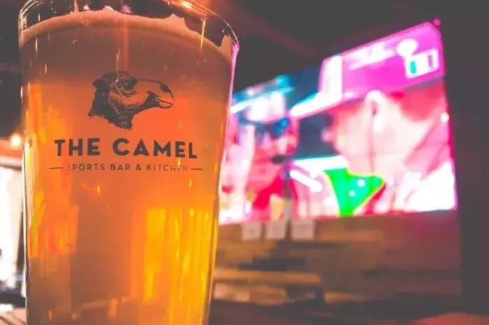 世界杯去哪里看球最过瘾广州,世界杯通宵看球的地方