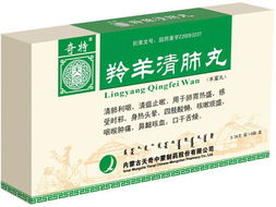 热气引起流鼻血吃什么中成药,小孩流鼻血吃什么中成药