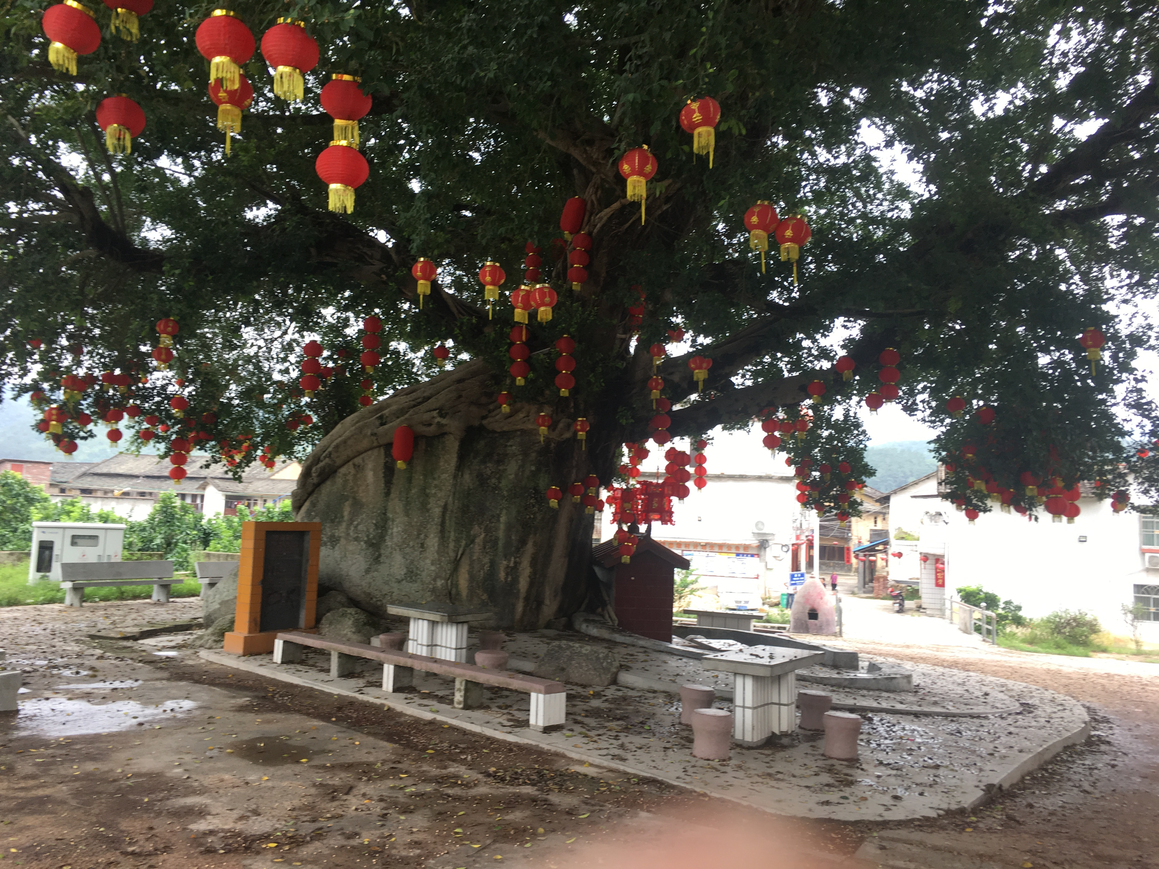 孙健携手鸿淞影视再创佳作，公益电影《舞动吧！少年》将开机