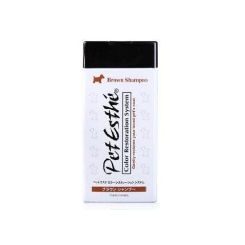 大家都爱养比熊,护理起来却有难度