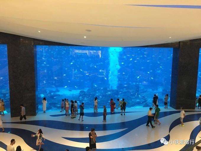 小铁蛋小视频,小铁牺牲了