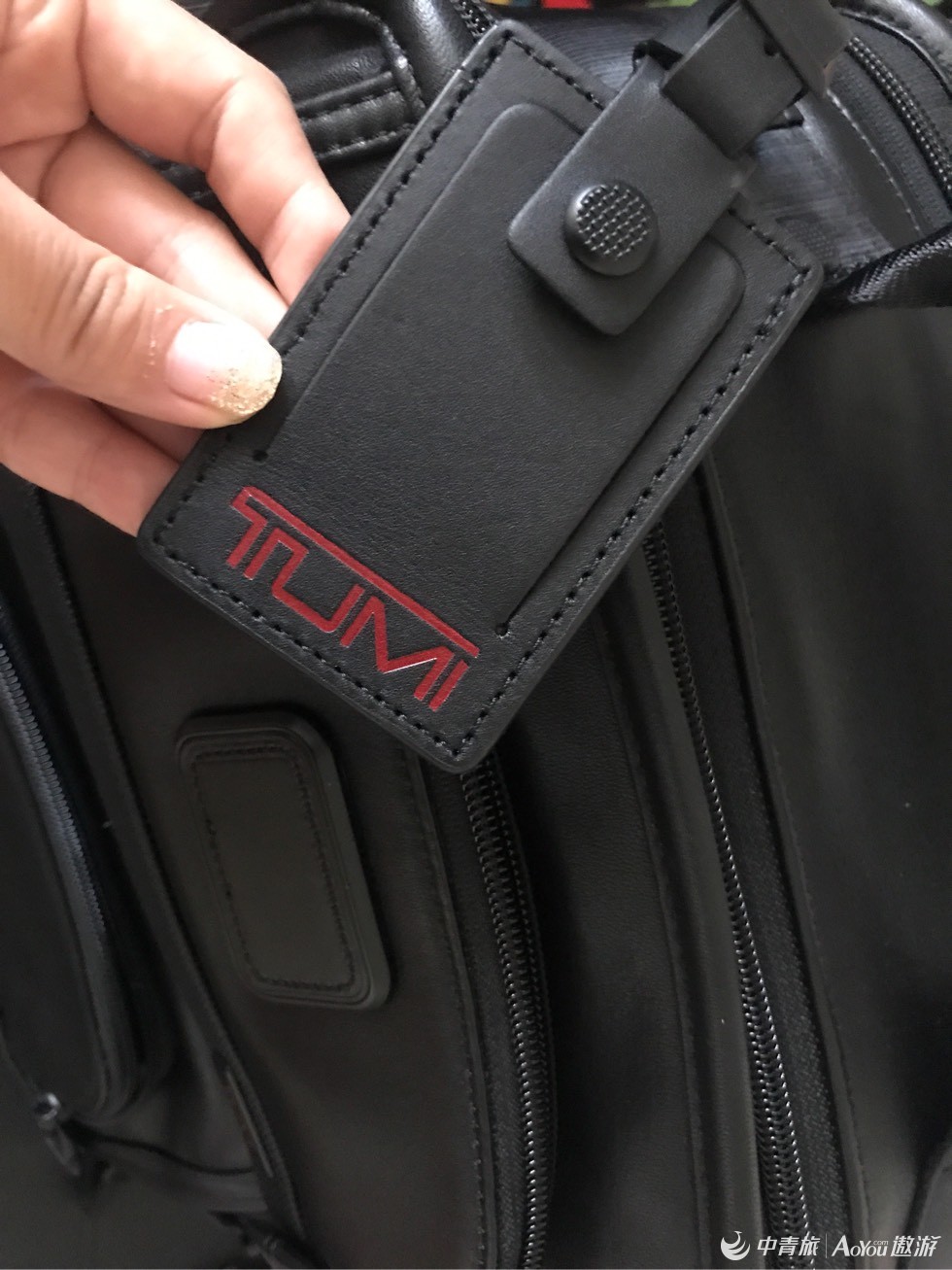 海外购goyard包包,海外游购