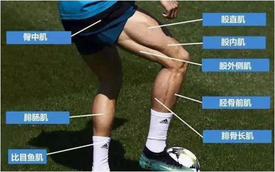 c罗告诉你足球最重要的是什么,c罗告诉我自律的人生有多开挂