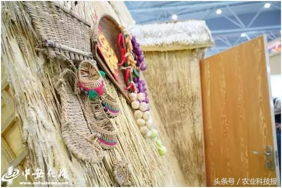 从垃圾里捡的东西变废为宝,从废物到宝物