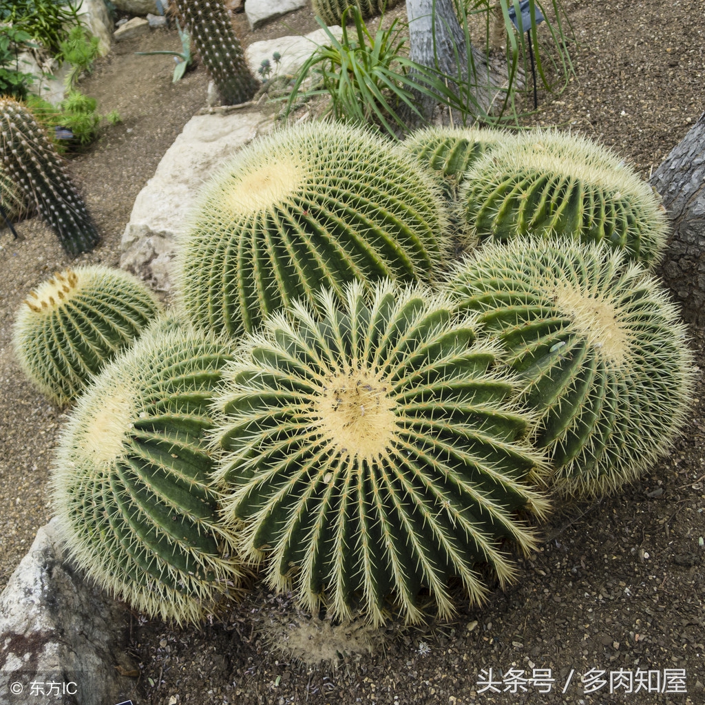 世界杯有看头的比赛,世界杯精彩足球