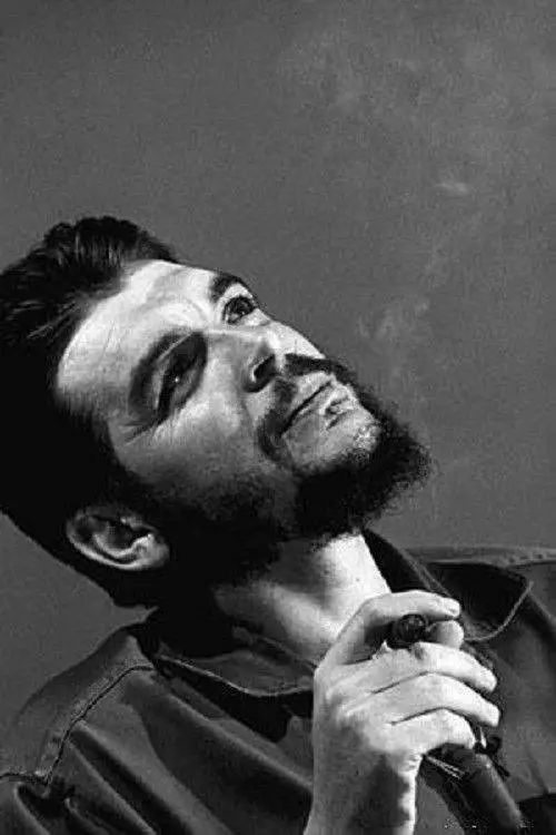 世界杯决赛潘帕斯雄鹰高卢,世界杯潘帕斯进球