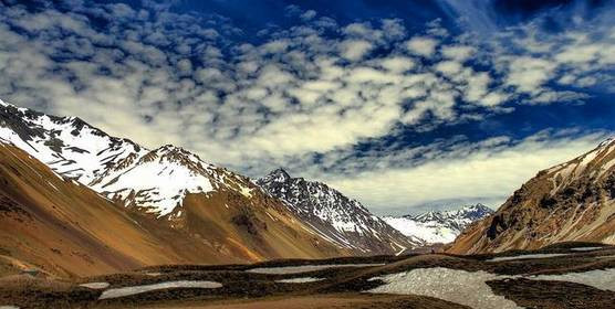 世界杯决赛潘帕斯雄鹰高卢,格子军团vs潘帕斯雄鹰复仇之刃