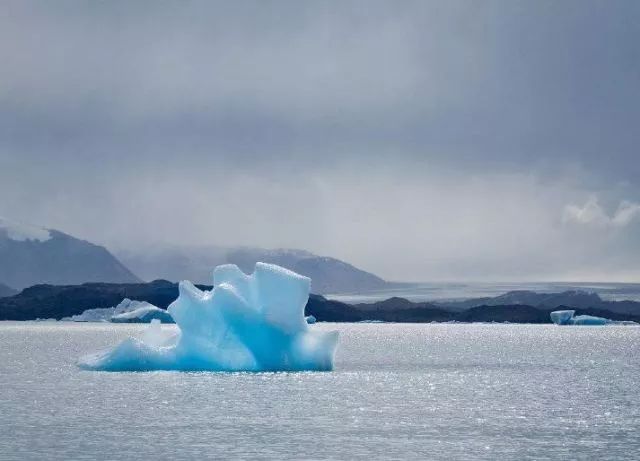世界杯决赛潘帕斯雄鹰高卢,格子军团vs潘帕斯雄鹰复仇之刃