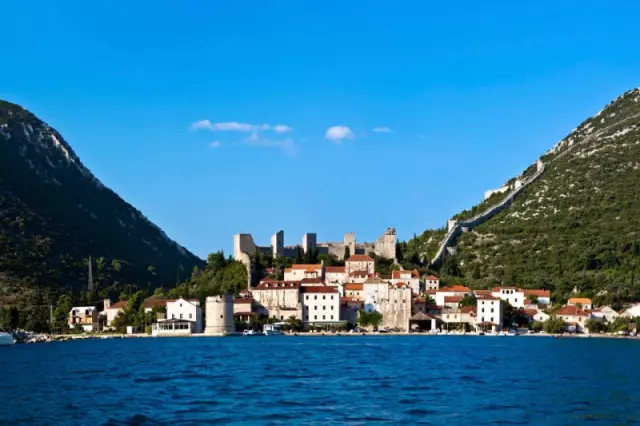 世界杯决赛潘帕斯雄鹰高卢,世界杯潘帕斯进球