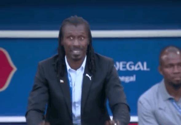 世界杯火爆全网的帅气教练,世界杯主教练颜值