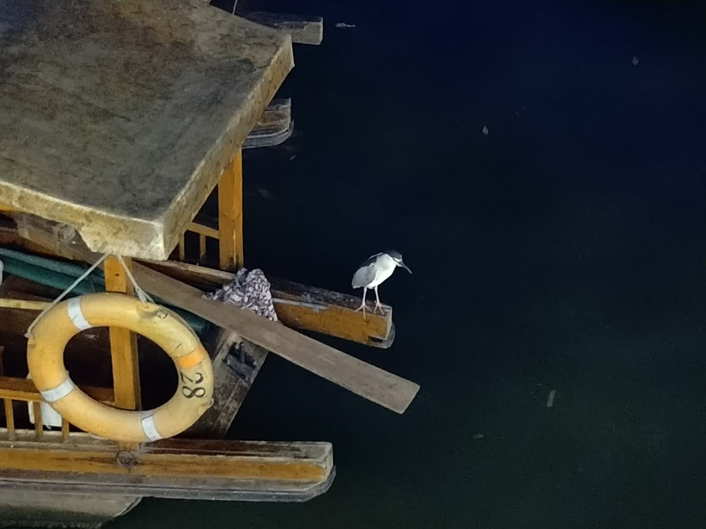 魅族15和苹果比,魅族15与iphonese