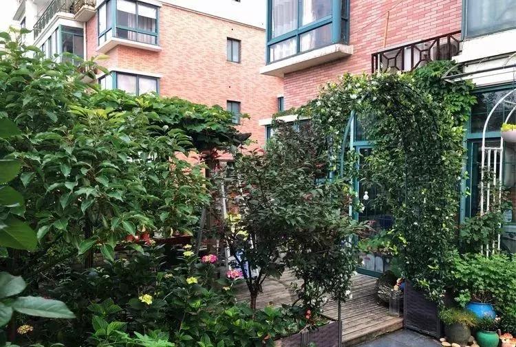 香香的花园自拍杆,香香的花围墙推荐