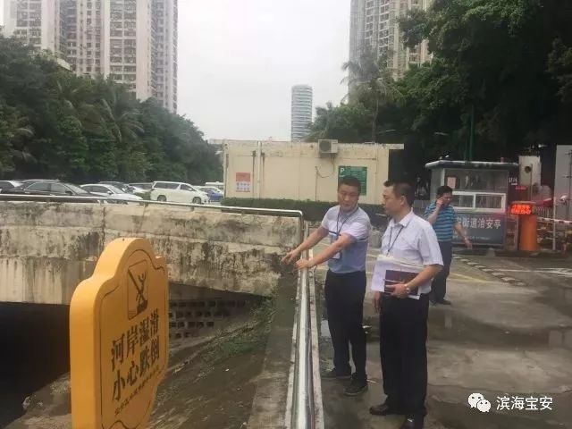 新安调查,新安县暗访组