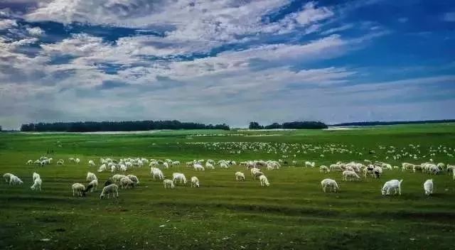 南昌到内蒙古旅游要多少钱 (江西坐火车去内蒙古沿途攻略)