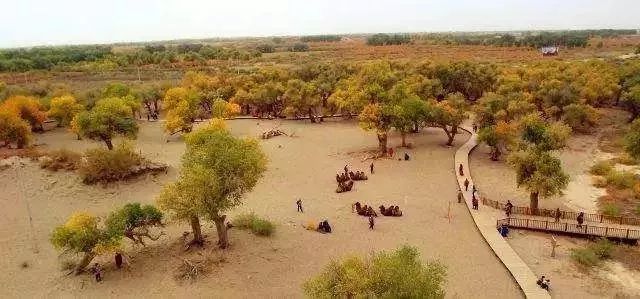 南昌到内蒙古旅游要多少钱 (江西坐火车去内蒙古沿途攻略)