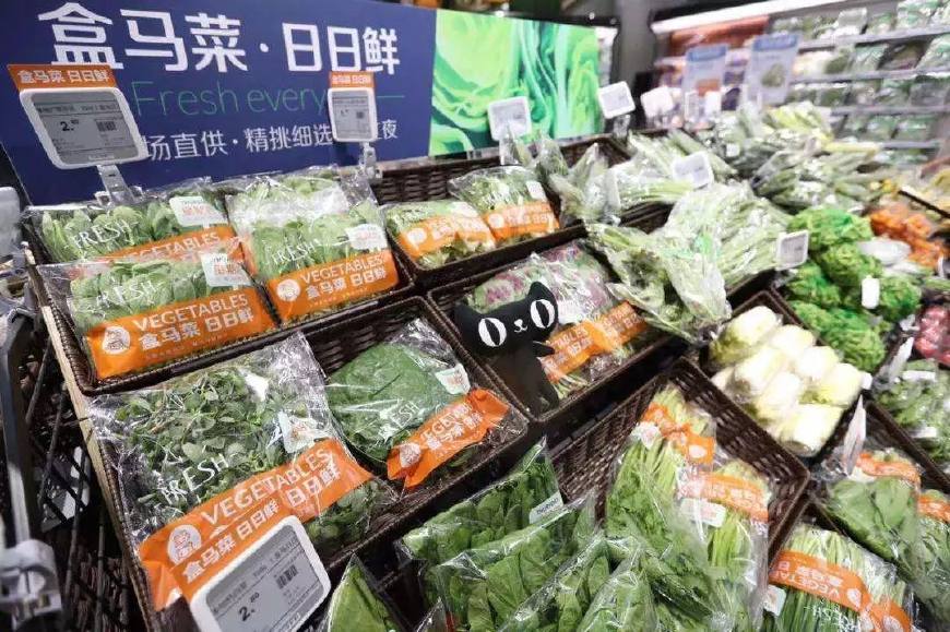 白岩松谈世界杯出线形势,白岩松说俄罗斯足球队