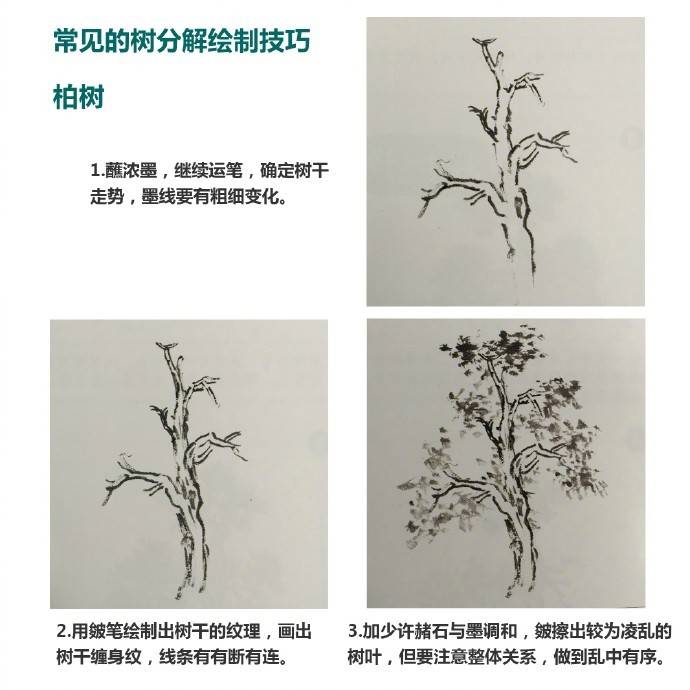 零基础学国画树干的画法视频,零基础画树教程
