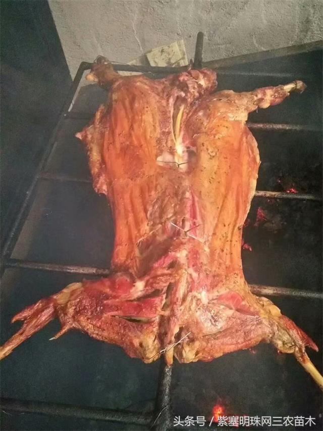 南戴河*哥涛**农家院（成杰宾馆）云烟天外黄金缕，渔火滩头绿酒家！