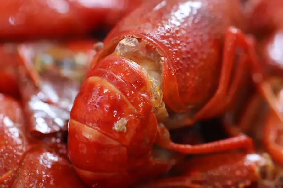 国民龙虾批发,小龙虾网上购买攻略