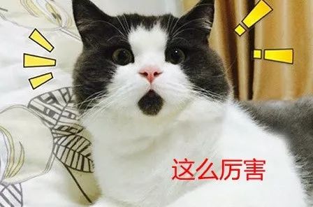 常山“小库里”，一个“三分球”1.3万元