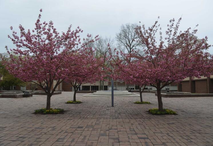 你眼中的美国是个什么样的国家,你眼中的美国是什么样的