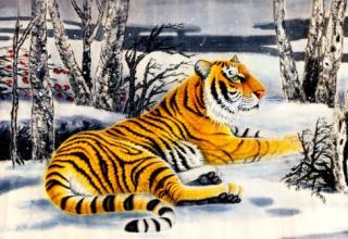 属虎2019年怎么破太岁,2019年属虎的人破太岁